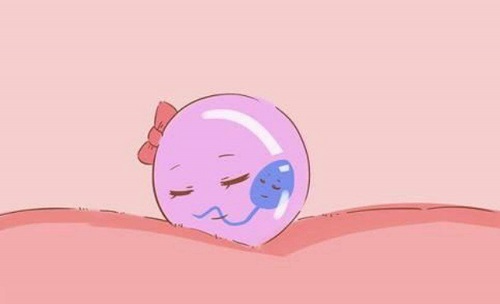 10個(gè)人做試管嬰兒幾個(gè)能成功？做試管一次成功的是哪些？