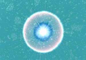 患者去泰國做試管嬰兒需要多少錢