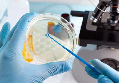 泰國試管嬰兒中介費用多少比較合理呢