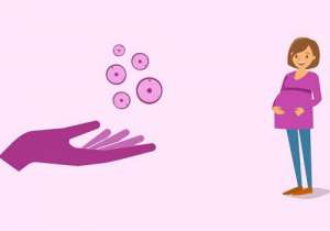 美國(guó)試管費(fèi)用大約多少