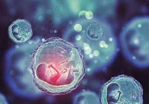 赴泰試管如何合理規(guī)劃時間