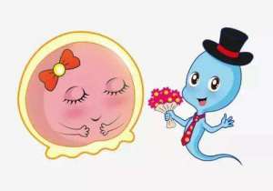 想要高成功率做第三代試管嬰兒要準(zhǔn)備多少錢