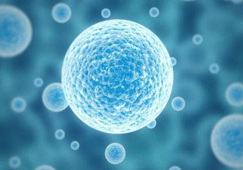 美國試管嬰兒多少費(fèi)用