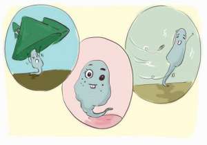 俄羅斯第三代試管嬰兒的費(fèi)用究竟要多少