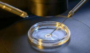 海外的試管嬰兒醫(yī)院怎么選