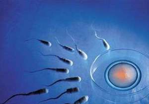 泰國(guó)試管哪家醫(yī)院的成功率最高