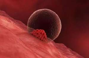 準(zhǔn)備第三代試管需要多少錢