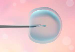 做試管嬰兒的所有步驟