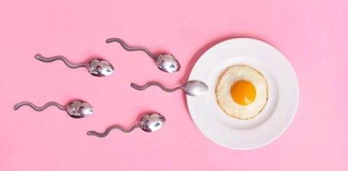 美國(guó)試管成功率多少?