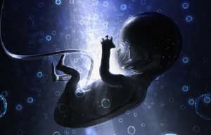 泰國(guó)費(fèi)用標(biāo)準(zhǔn)是多少