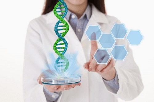 選擇美國、泰國、國內(nèi)做試管對比