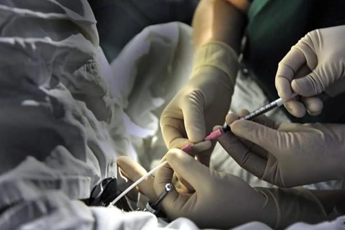 如何選擇比較好的試管醫(yī)院呢