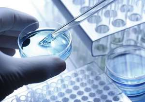 試管嬰兒技術(shù)要花多少錢