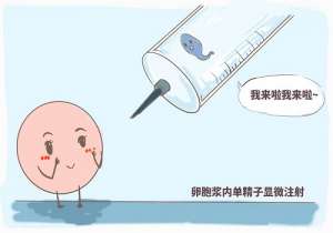 去美國做試管嬰兒怎么做準(zhǔn)備