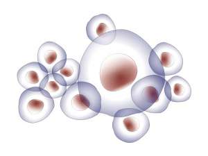 去一次泰國做試管嬰兒多少費(fèi)用