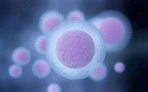 試管嬰兒流程詳細(xì)解讀