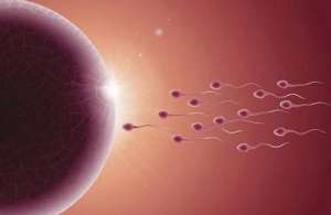 泰國試管嬰兒需要多少錢