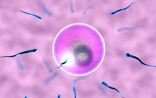 如何選擇美國(guó)的試管嬰兒醫(yī)院