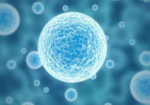 現(xiàn)在做試管嬰兒大概多少錢