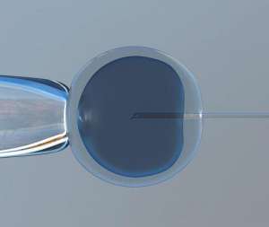 醫(yī)院三代試管到底需要多少費用