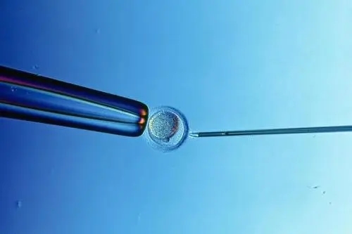 美國試管嬰兒醫(yī)院特點是什么