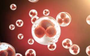 泰國做試管嬰兒的流程到底有哪些