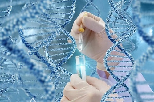 俄羅斯試管嬰兒有哪些優(yōu)勢(shì)