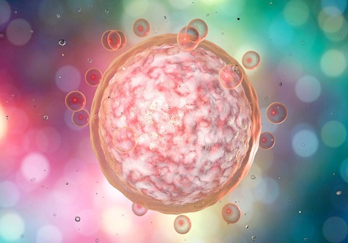 泰國試管嬰兒中介機(jī)構(gòu)收費(fèi)價(jià)格怎么樣