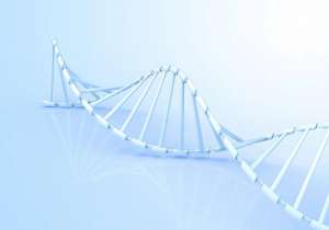 泰國(guó)試管嬰兒中介費(fèi)用多少錢