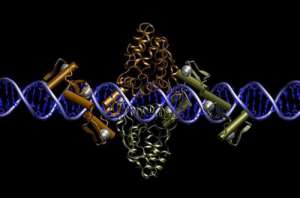 俄羅斯的試管嬰兒都有哪些優(yōu)勢