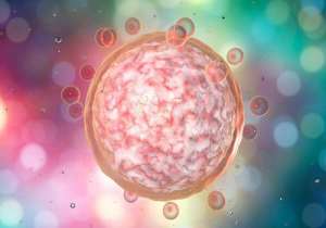 泰國(guó)試管嬰兒中介機(jī)構(gòu)收費(fèi)價(jià)格怎么樣