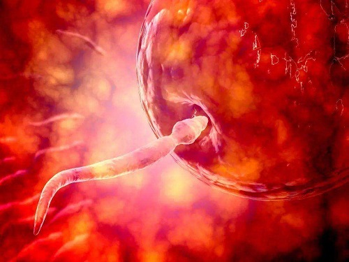 俄羅斯試管嬰兒到底有什么優(yōu)勢呢