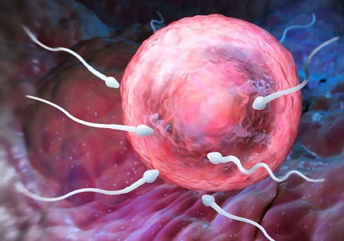 俄羅斯試管嬰兒技術(shù)優(yōu)勢是什么