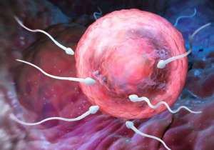 俄羅斯試管嬰兒技術(shù)優(yōu)勢是什么