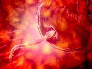 俄羅斯試管嬰兒到底有什么優(yōu)勢呢